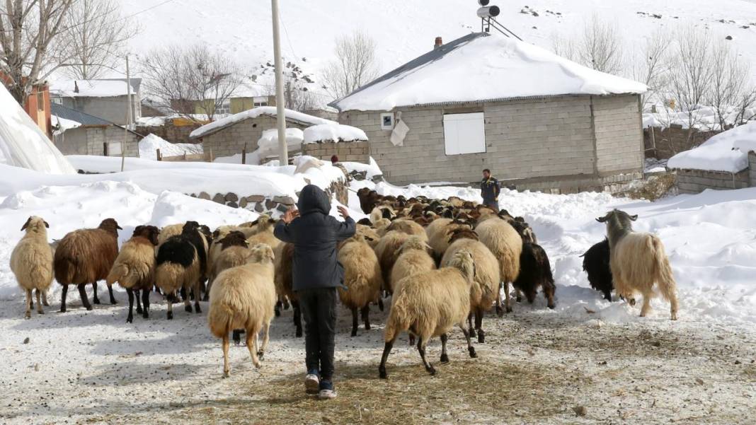 Karla kaplı köylerde yaşam 21