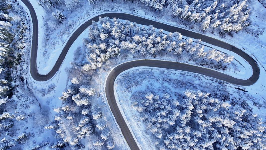 Bolu ve Düzce'nin yüksek kesimlerinde kar güzelliği 1