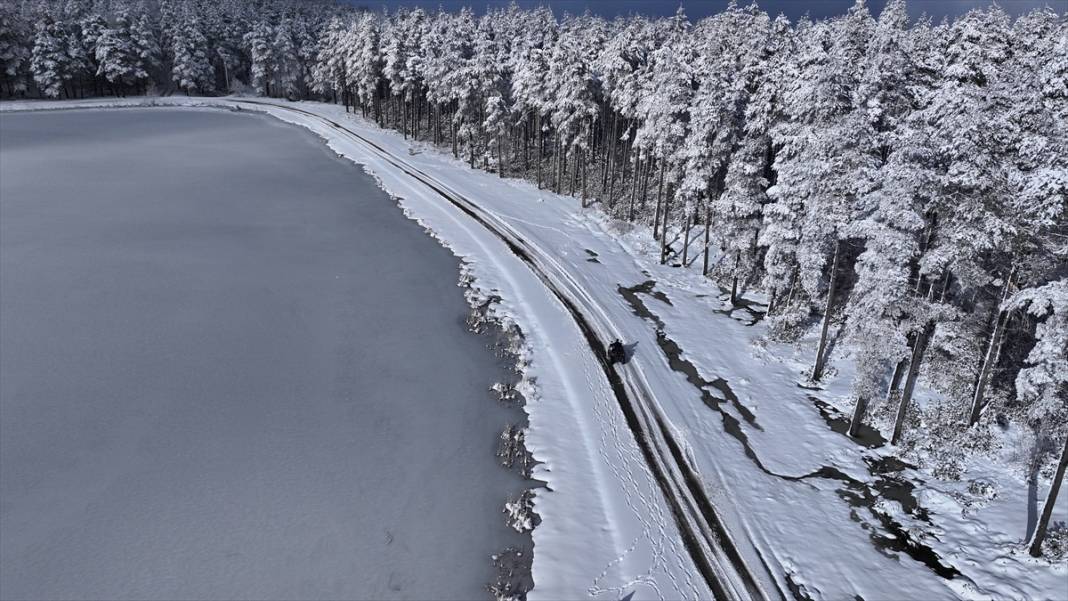 Bolu ve Düzce'nin yüksek kesimlerinde kar güzelliği 12