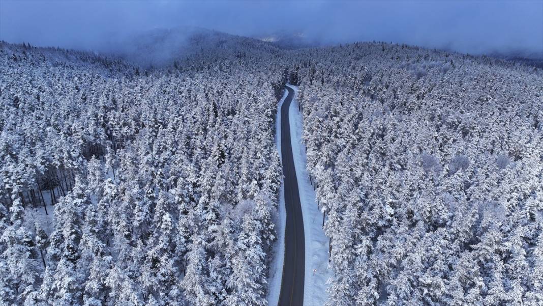 Bolu ve Düzce'nin yüksek kesimlerinde kar güzelliği 14
