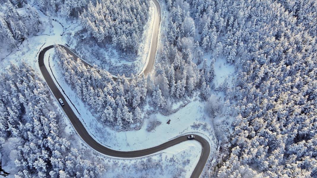 Bolu ve Düzce'nin yüksek kesimlerinde kar güzelliği 15