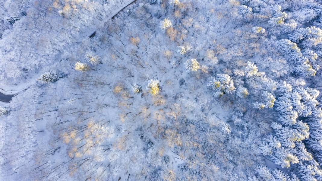 Bolu ve Düzce'nin yüksek kesimlerinde kar güzelliği 20