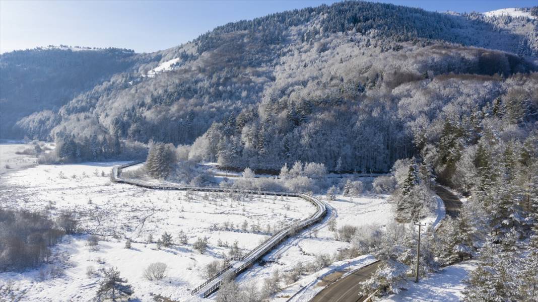 Bolu ve Düzce'nin yüksek kesimlerinde kar güzelliği 21