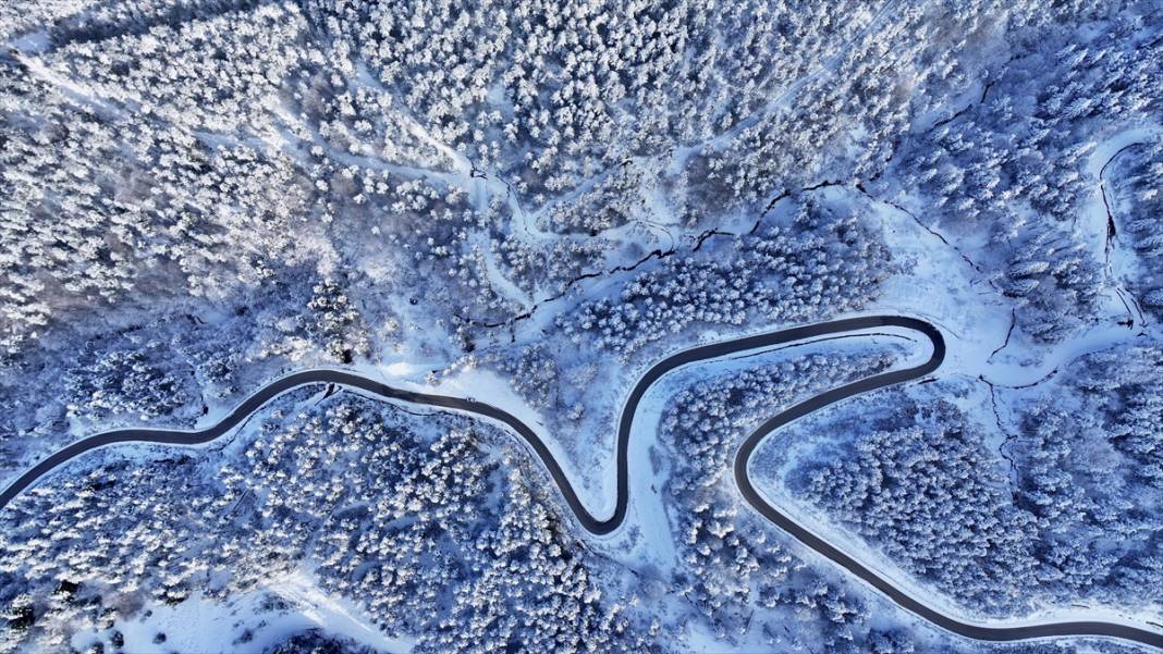 Bolu ve Düzce'nin yüksek kesimlerinde kar güzelliği 4