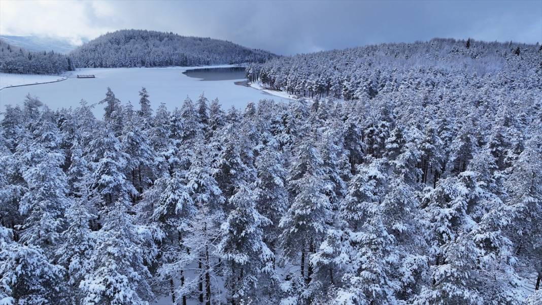 Bolu ve Düzce'nin yüksek kesimlerinde kar güzelliği 7