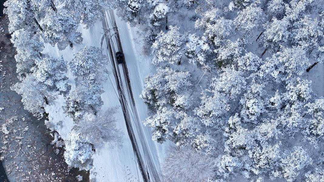 Bolu ve Düzce'nin yüksek kesimlerinde kar güzelliği 9