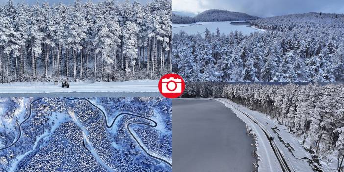 Bolu ve Düzce'nin yüksek kesimlerinde kar güzelliği
