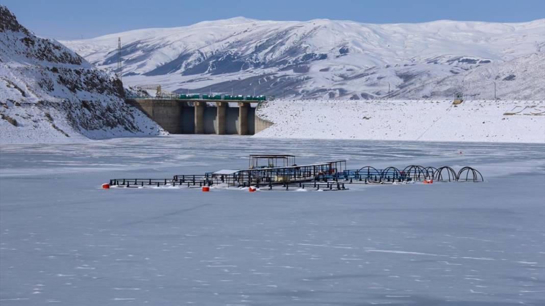 Buz tutan Zernek Barajı görüntülendi 8