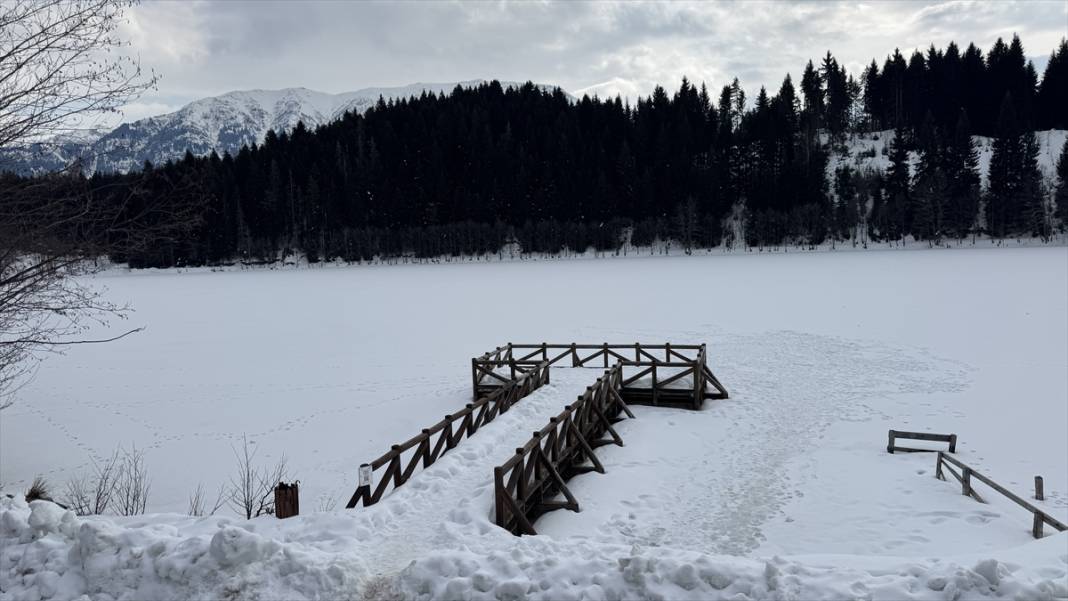 Şavşat'ın Karagöl'ü buz tuttu 9