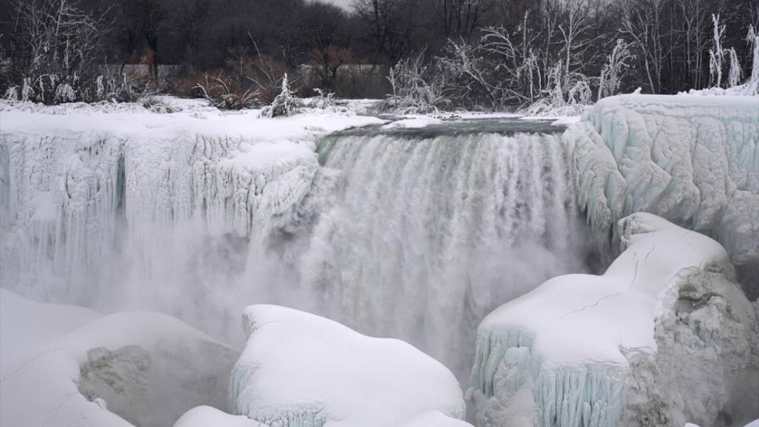 Niagara Şelalesi kısmen dondu 11