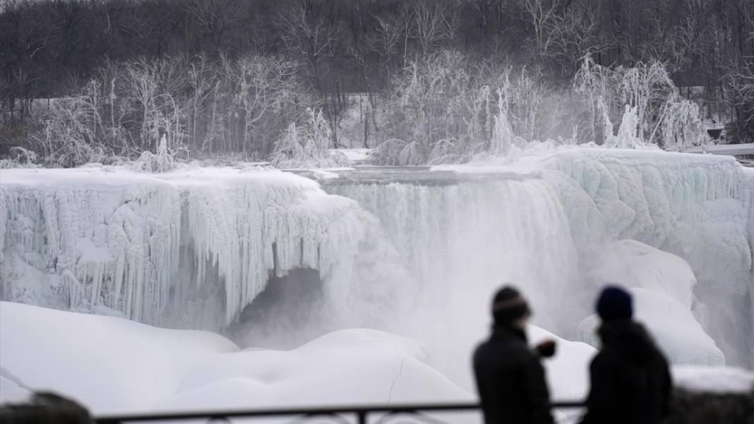 Niagara Şelalesi kısmen dondu 14
