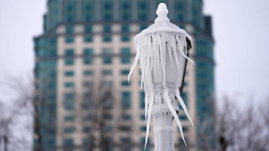 Niagara Şelalesi kısmen dondu 8