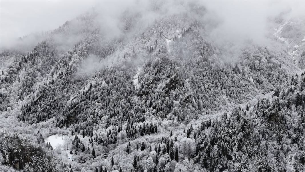 Zil Kale ve Ayder Yaylası beyaz rahmetle kaplandı 12