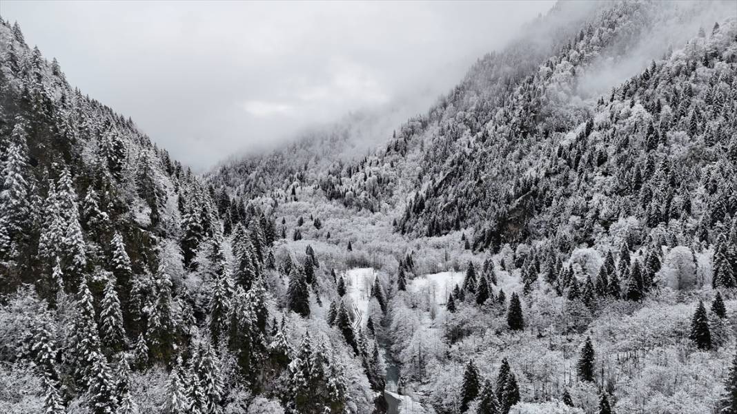 Zil Kale ve Ayder Yaylası beyaz rahmetle kaplandı 14