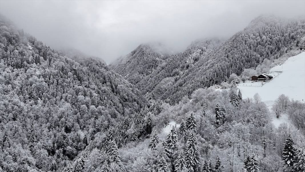 Zil Kale ve Ayder Yaylası beyaz rahmetle kaplandı 15
