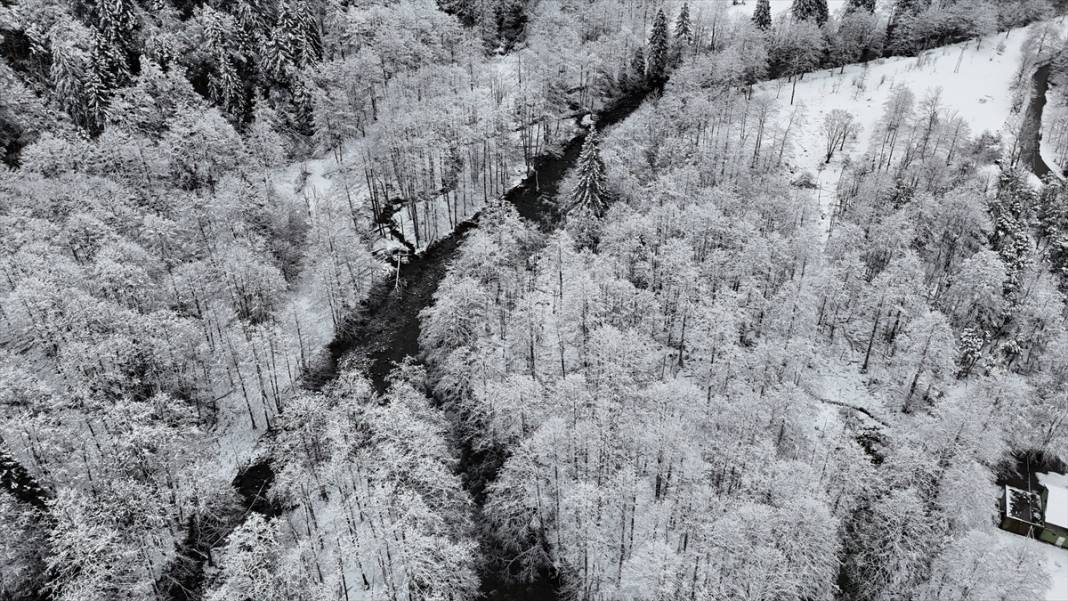 Zil Kale ve Ayder Yaylası beyaz rahmetle kaplandı 4
