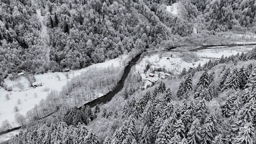 Zil Kale ve Ayder Yaylası beyaz rahmetle kaplandı 5