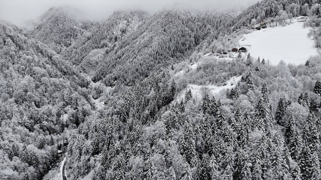Zil Kale ve Ayder Yaylası beyaz rahmetle kaplandı 9