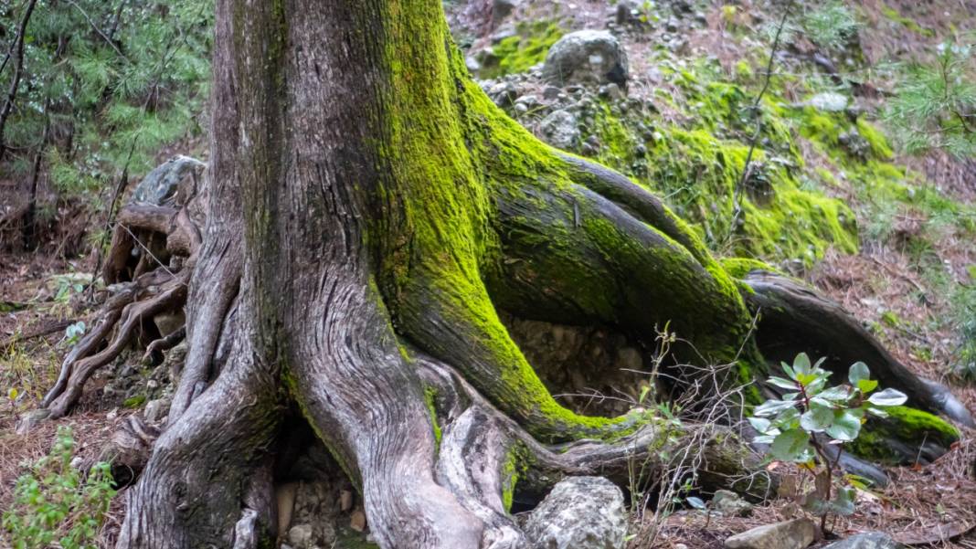 Antalya'daki Gelin Şelalesi ne güzel yaratılmış 5