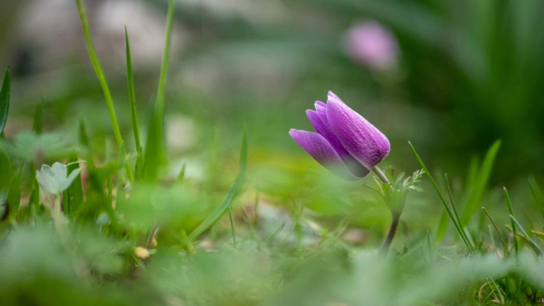 Antalya'daki Gelin Şelalesi ne güzel yaratılmış 6