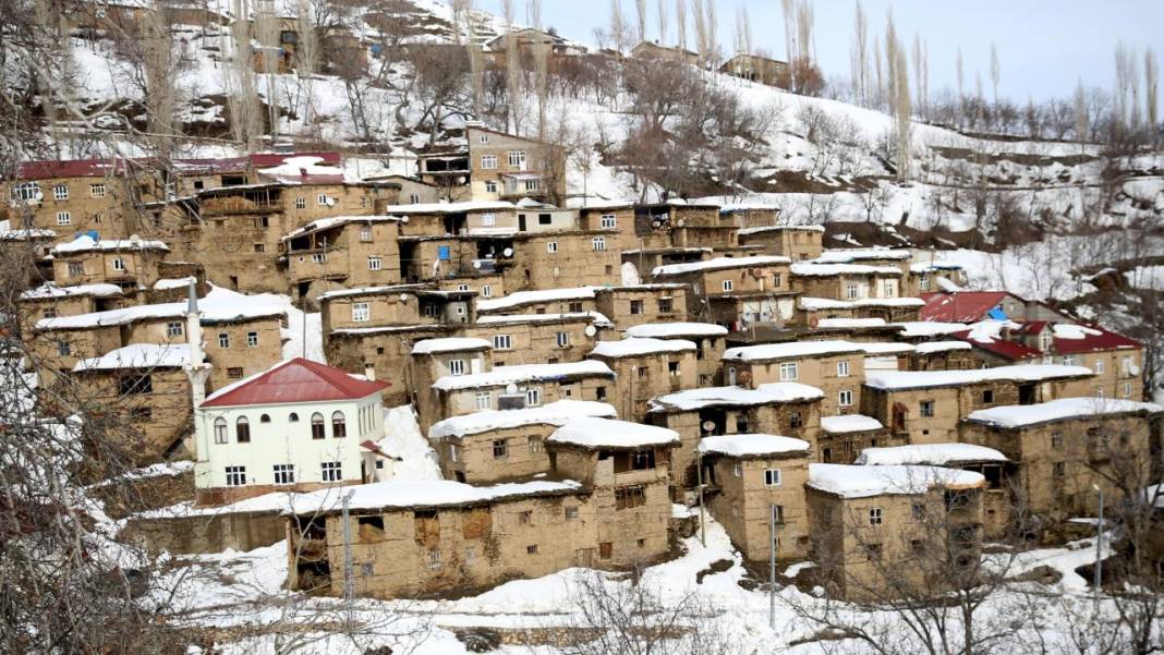 Hizan'ın asırlık taş evlerin damındaki karlar imece usulüyle temizleniyor 5
