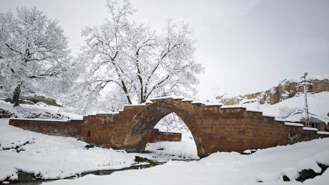Ahlat'taki Selçuklu Meydan Mezarlığı beyaz kefenini giydi 8