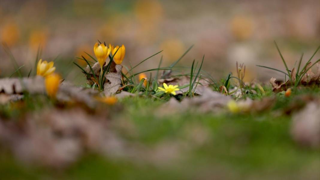 Tabiat uyanıyor, bahar renkleri bir bir yaratılıyor 10