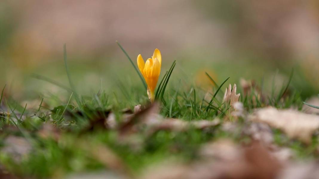 Tabiat uyanıyor, bahar renkleri bir bir yaratılıyor 12