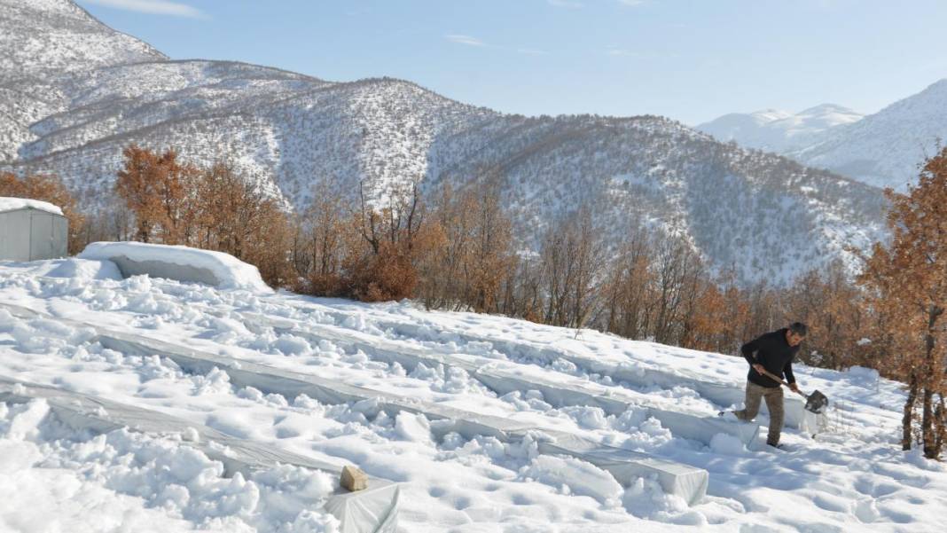 Hizan'ın arı kovanları kar altında korunuyor 10