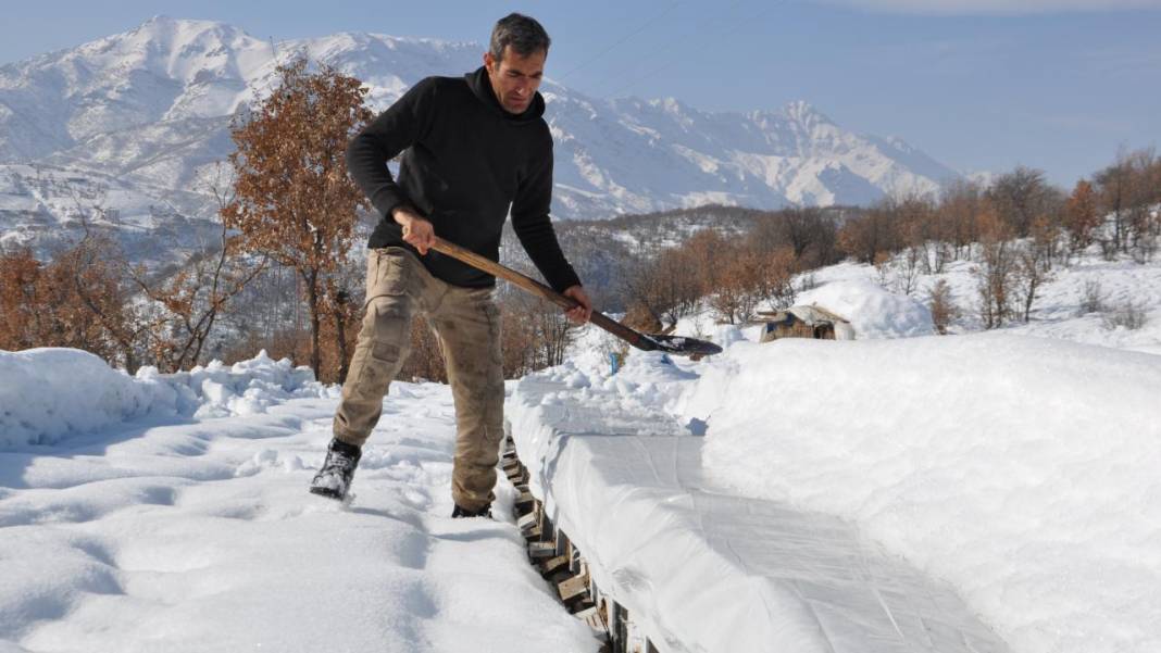 Hizan'ın arı kovanları kar altında korunuyor 2