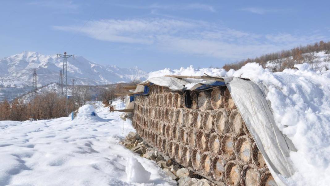 Hizan'ın arı kovanları kar altında korunuyor 5