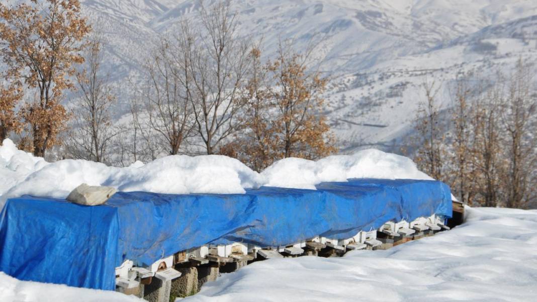 Hizan'ın arı kovanları kar altında korunuyor 6