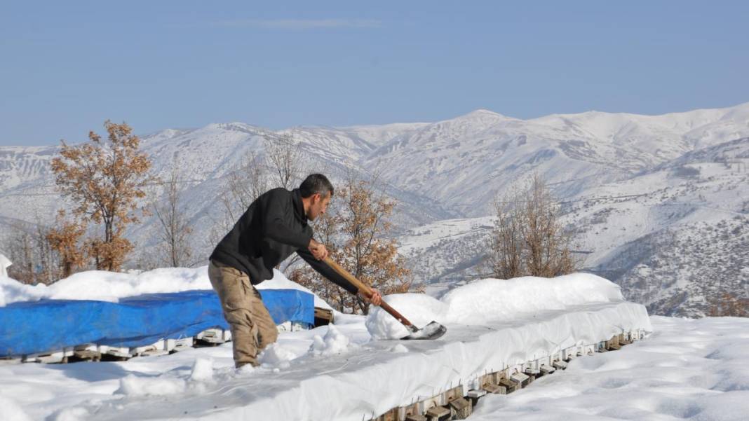 Hizan'ın arı kovanları kar altında korunuyor 7