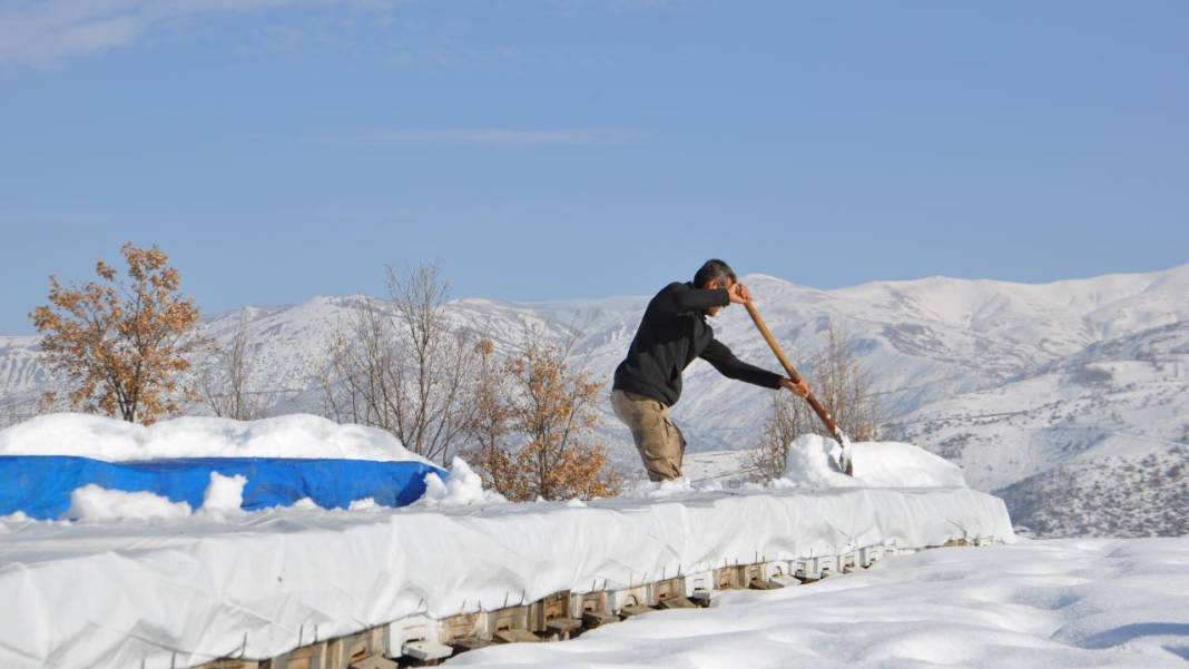 Hizan'ın arı kovanları kar altında korunuyor 8