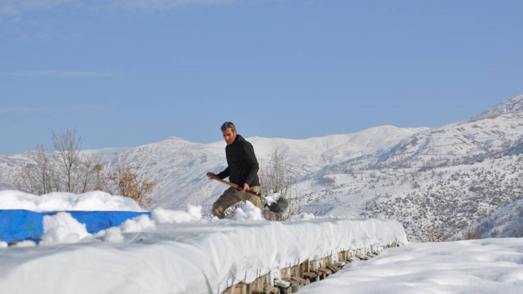 Hizan'ın arı kovanları kar altında korunuyor 9