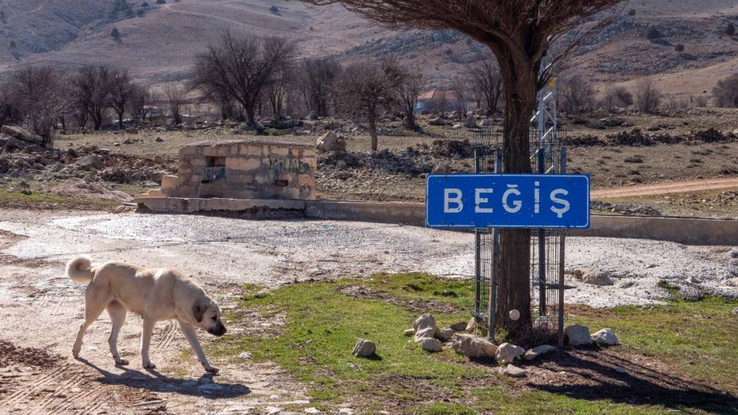 Beğiş'in asırlık taş evleri 15