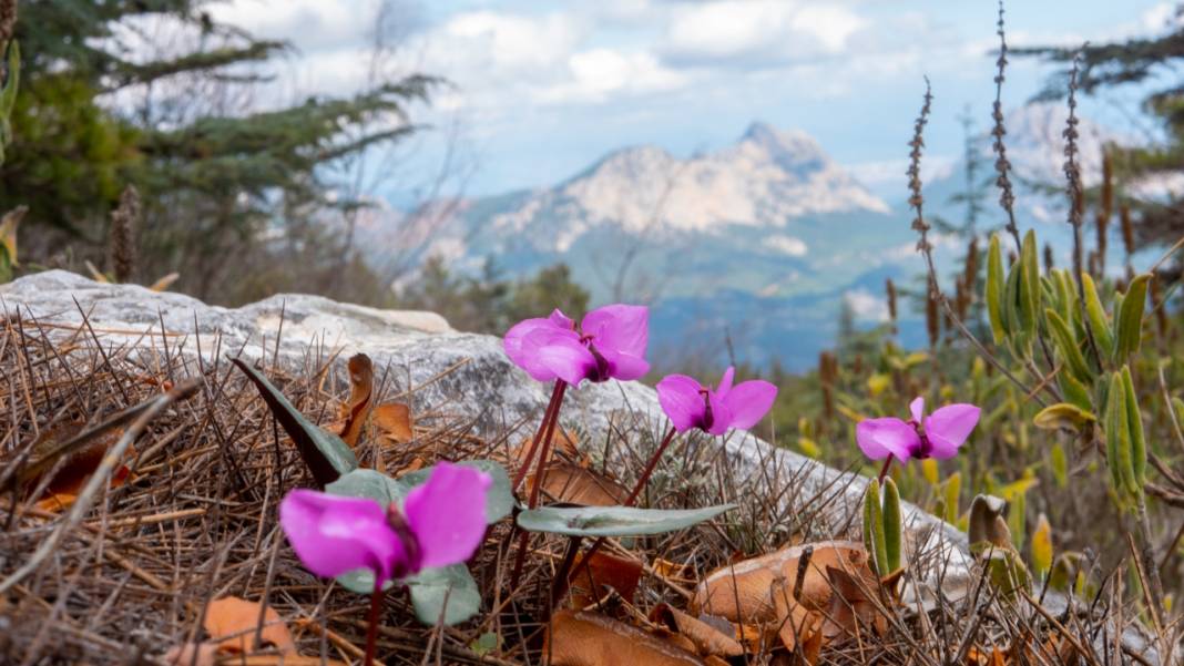 Beydağları'nın bir yanı kış, bir yanı ilkbahar 5