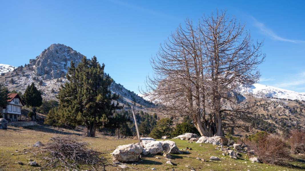 Beydağları'nın bir yanı kış, bir yanı ilkbahar 8