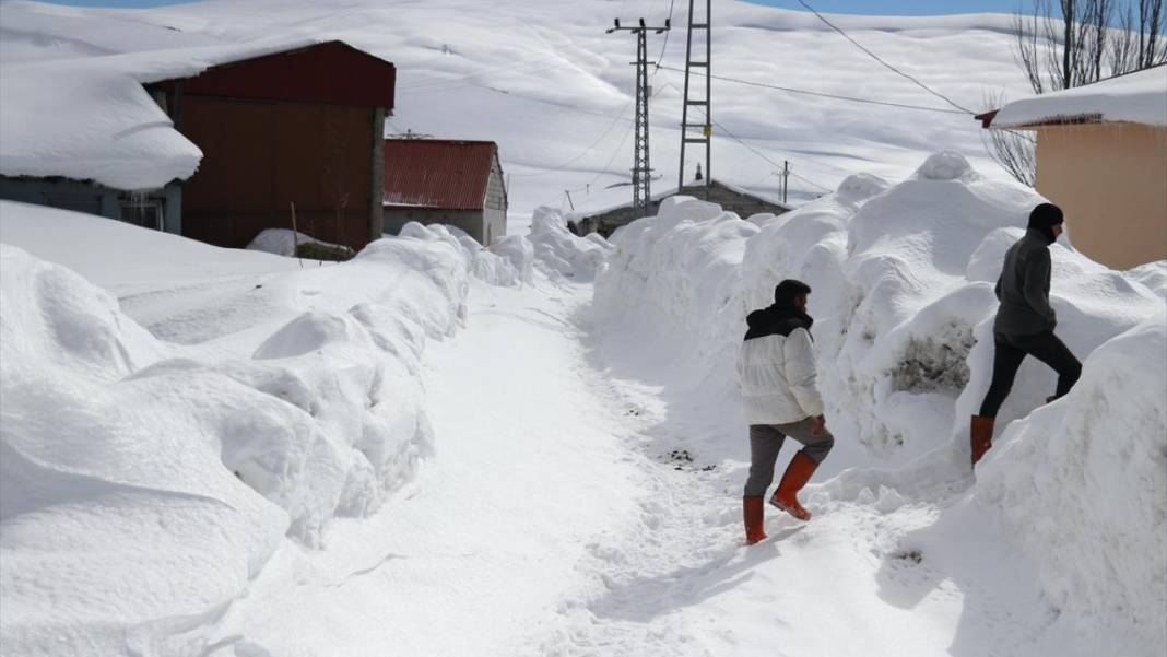 Ağrı'nın köylerinde ev ve ahırlar kara gömüldü 10