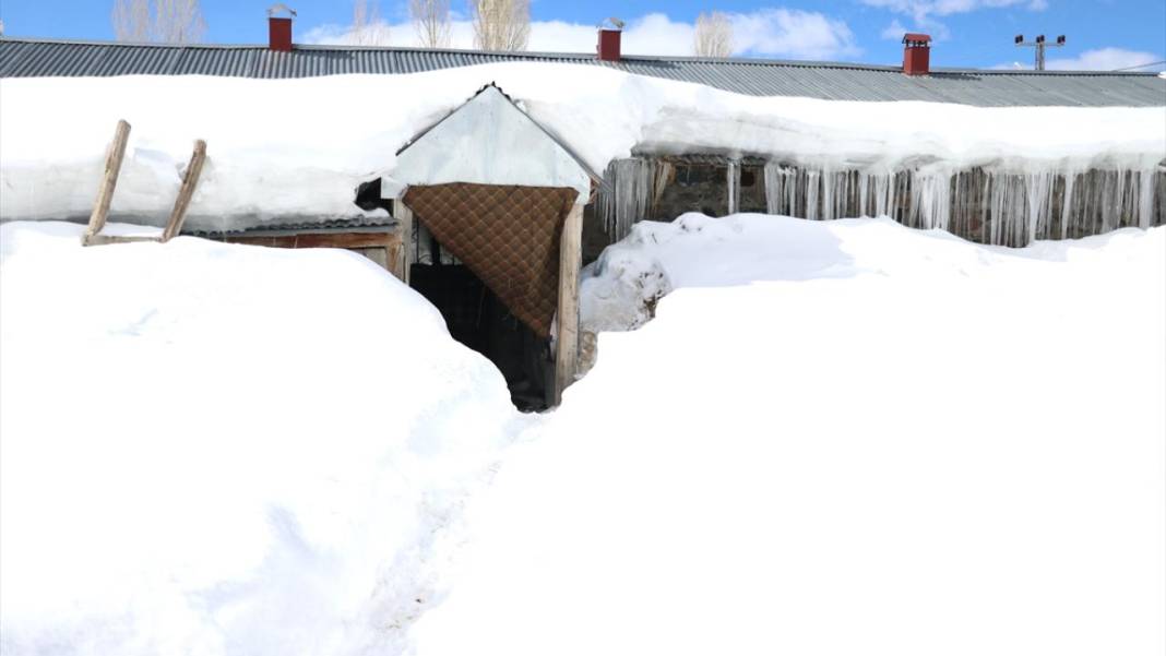 Ağrı'nın köylerinde ev ve ahırlar kara gömüldü 2