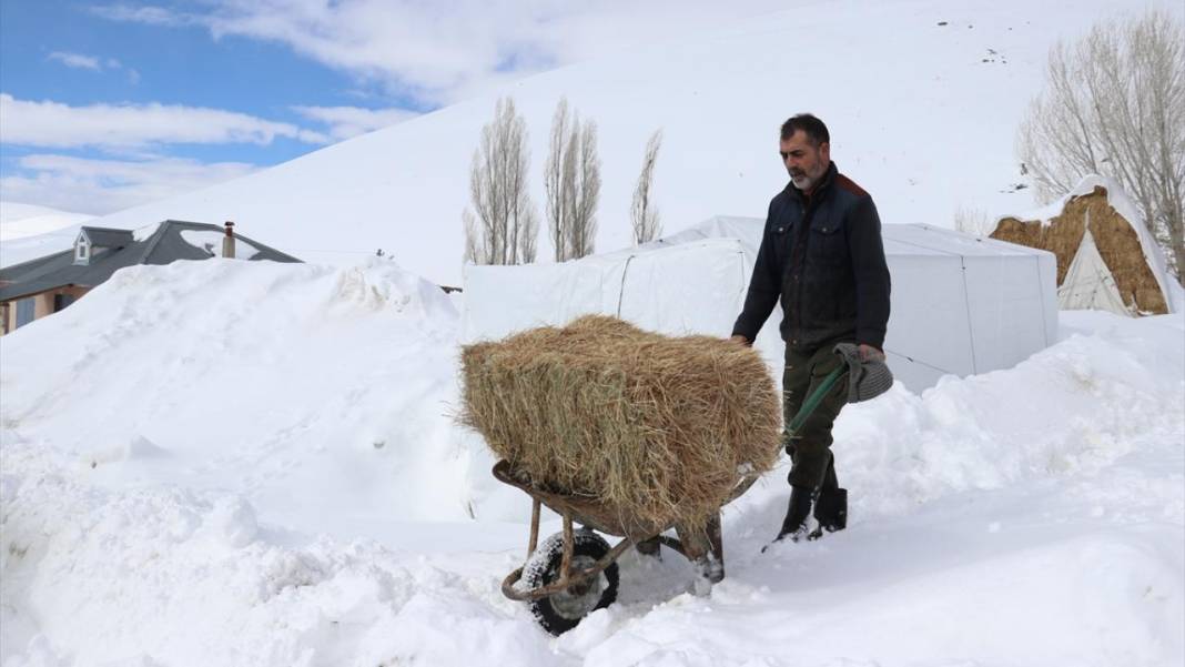 Ağrı'nın köylerinde ev ve ahırlar kara gömüldü 4
