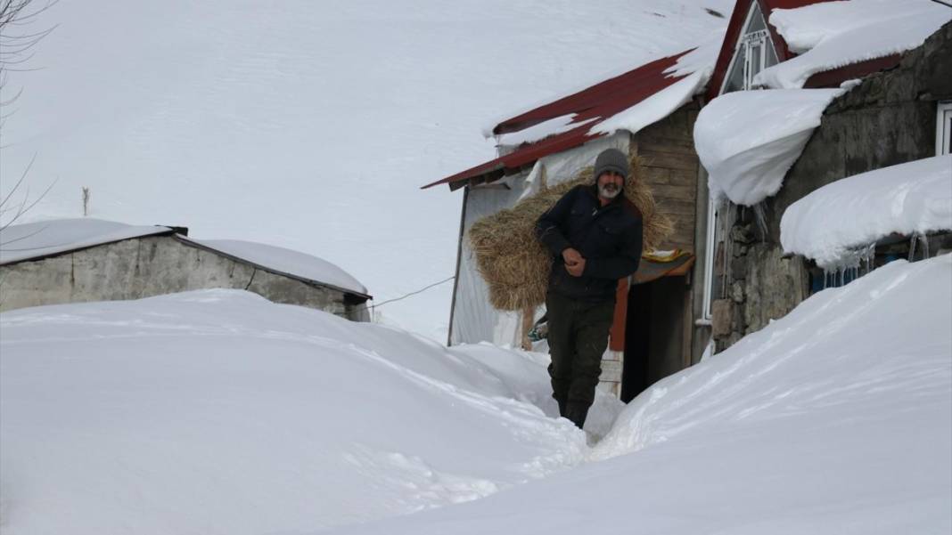 Ağrı'nın köylerinde ev ve ahırlar kara gömüldü 5