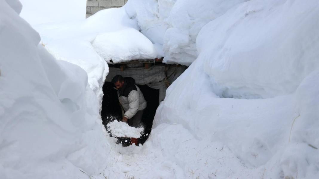Ağrı'nın köylerinde ev ve ahırlar kara gömüldü 6