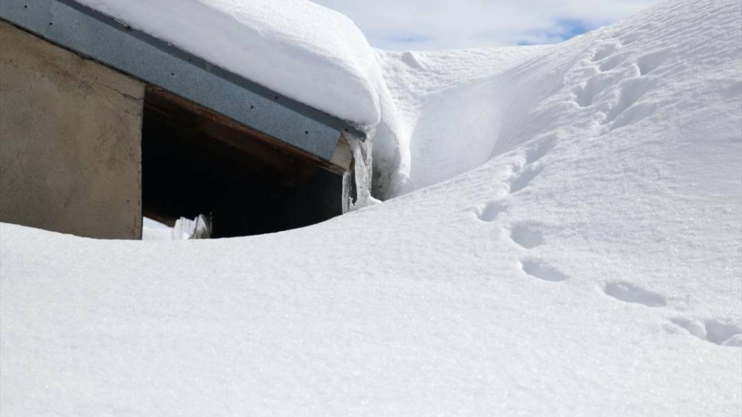 Ağrı'nın köylerinde ev ve ahırlar kara gömüldü 9
