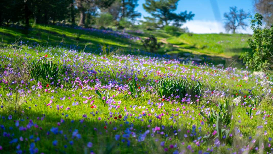 Musa Dağı, ilkbaharın tefekkürüne ev sahipliği yapıyor 12