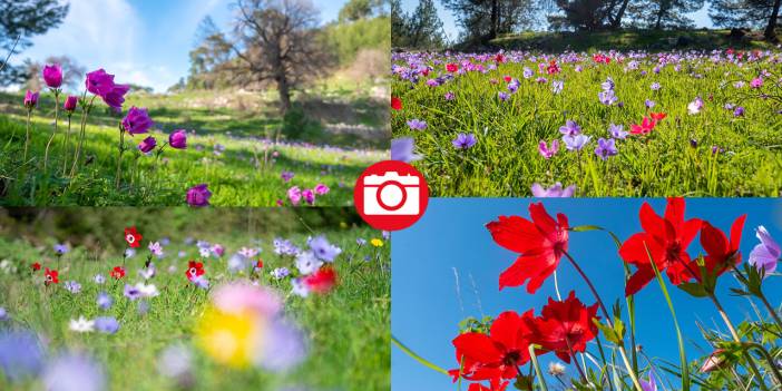 Musa Dağı, ilkbaharın tefekkürüne ev sahipliği yapıyor