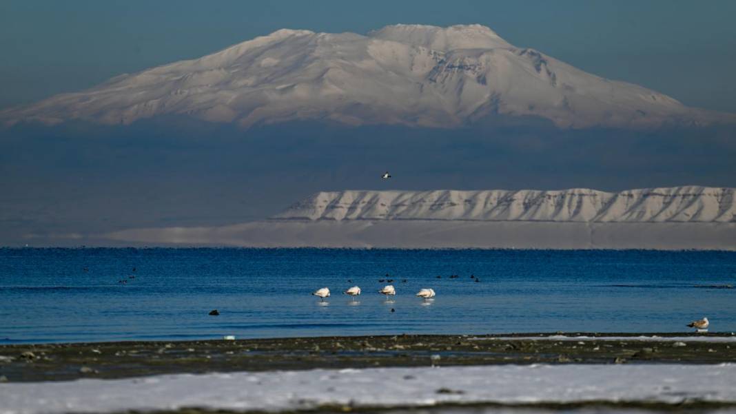 Van Gölü, beyaz dağlar ve flamingolar 1