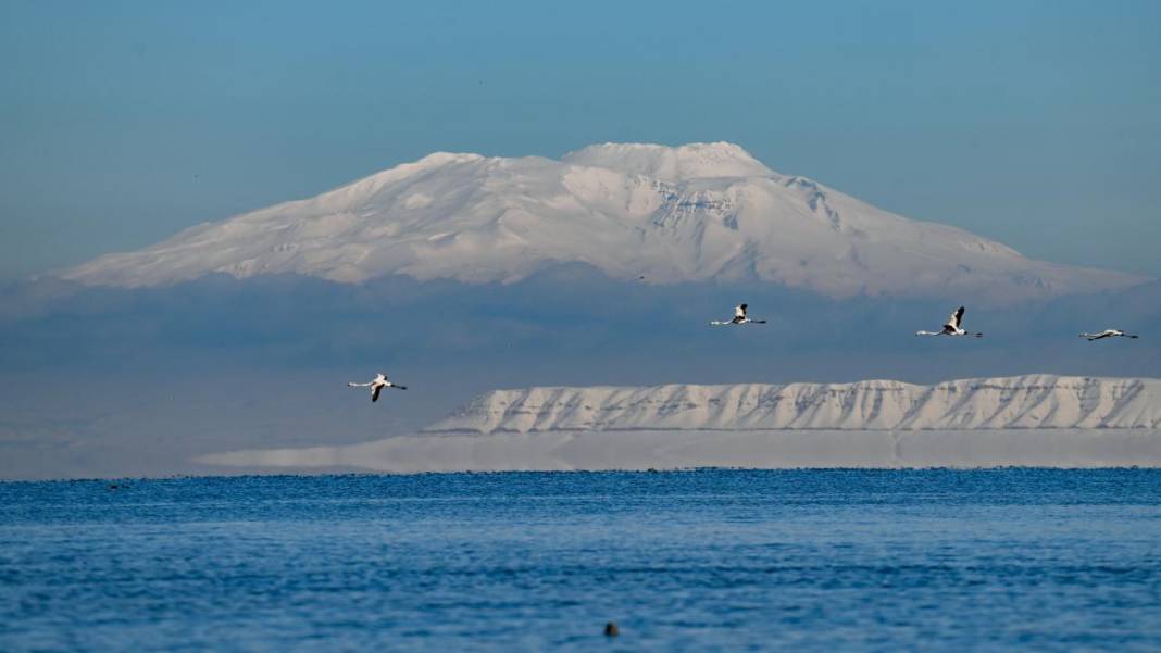 Van Gölü, beyaz dağlar ve flamingolar 17