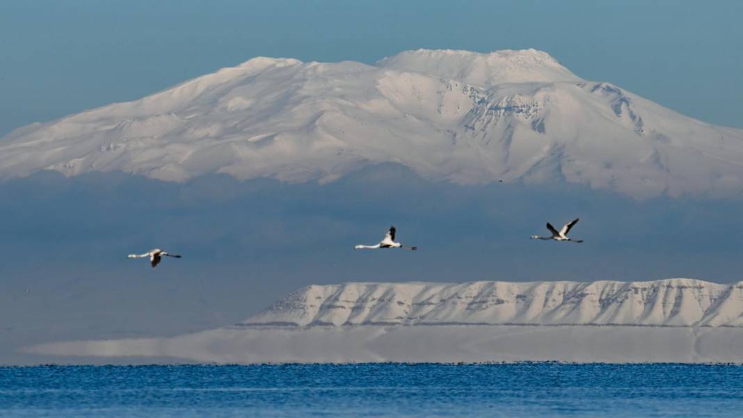 Van Gölü, beyaz dağlar ve flamingolar 18
