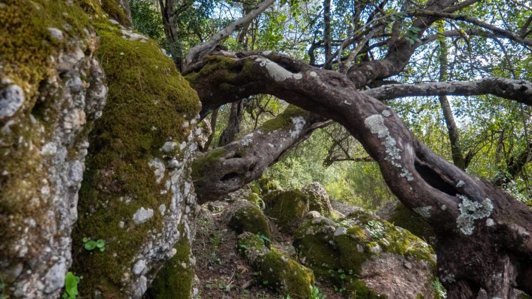 Hem tefekkür hem yürüyüş rotası: Kral Havuzu 2